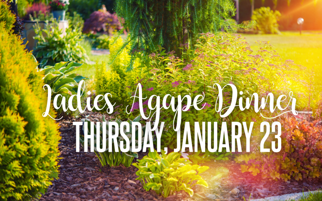 Ladies Agape Dinner