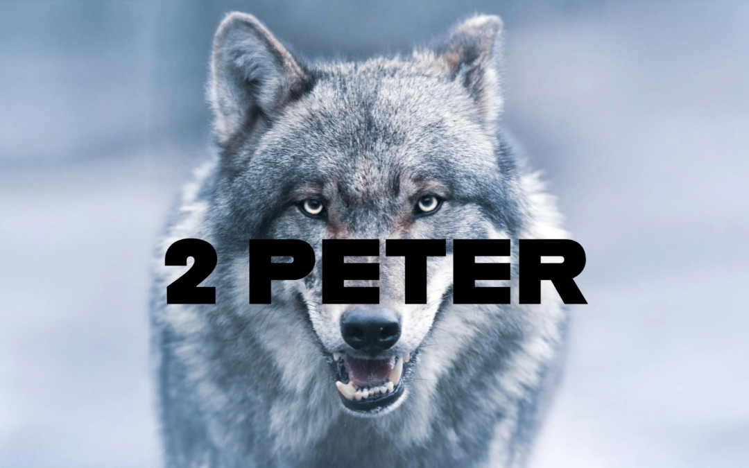 2 Peter Series